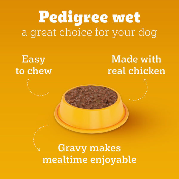 Pedigree Chicken and Liver Chunks in Gravy Pouch Puppy Dog Wet Food (130g)