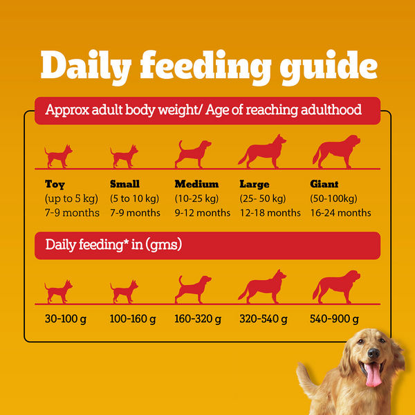 Pedigree Chicken and Vegetables Adult Dog Dry Food