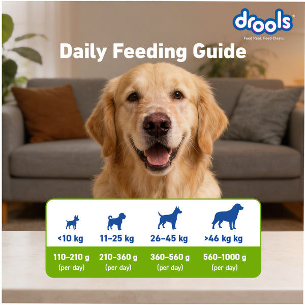 Drools 100% Vegetarian Puppy and Adult Dog Veg Dry Food (All Life Stages)