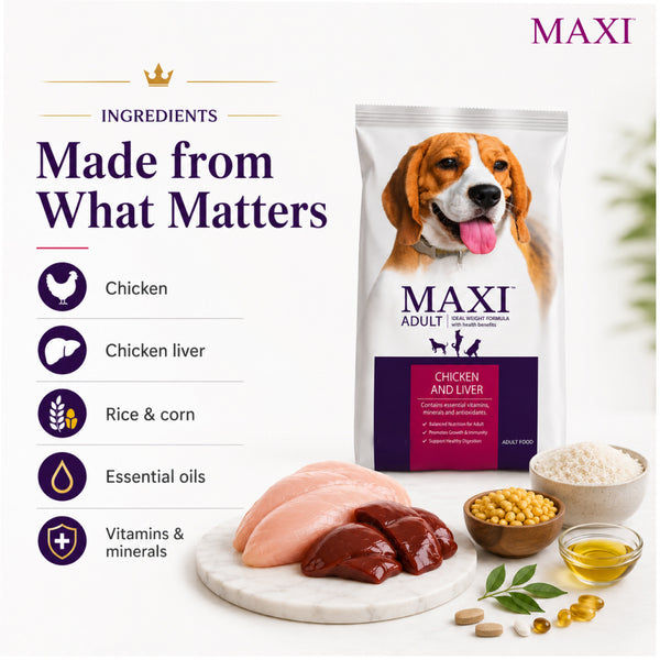 Maxi Adult Chicken and Liver Dog Dry Food