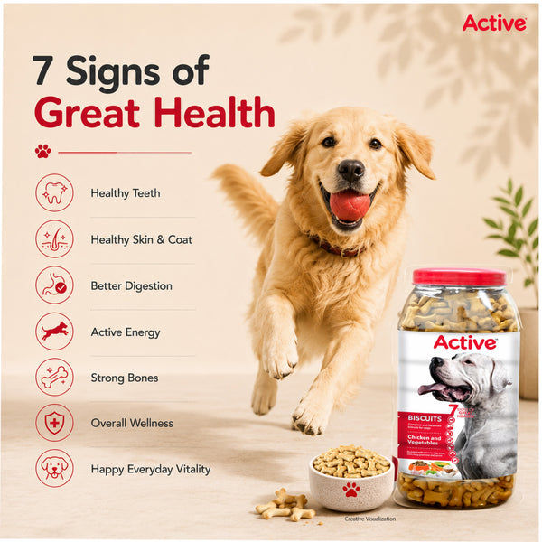 Active Chicken and Vegetables Biscuit Dog Treats (Buy 1 Get 1)