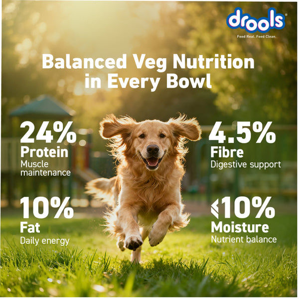 Drools 100% Vegetarian Puppy and Adult Dog Veg Dry Food (All Life Stages)