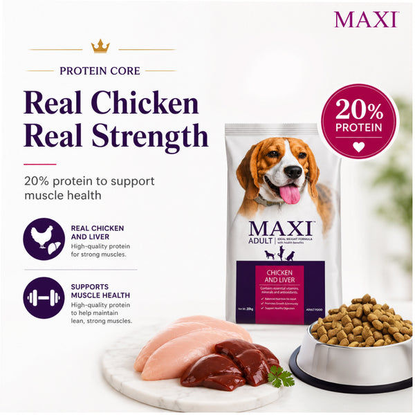 Maxi Adult Chicken and Liver Dog Dry Food