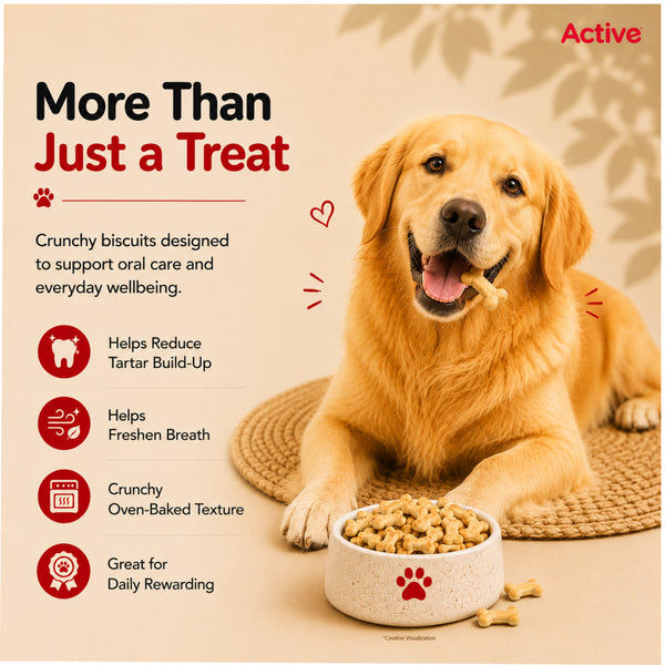 Active Chicken and Vegetables Biscuit Dog Treats (Buy 1 Get 1)