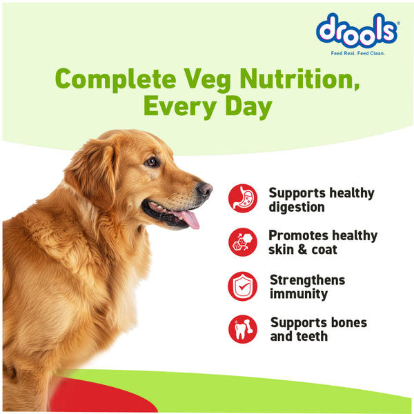 Drools 100% Vegetarian Puppy and Adult Dog Veg Dry Food (All Life Stages)