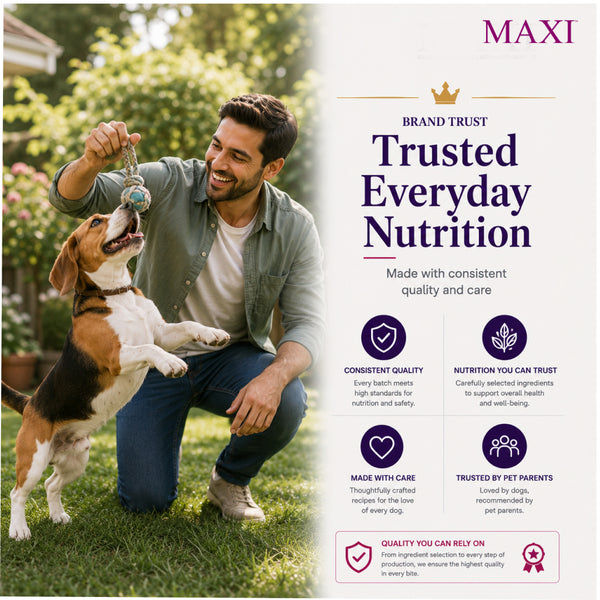 Maxi Adult Chicken and Liver Dog Dry Food