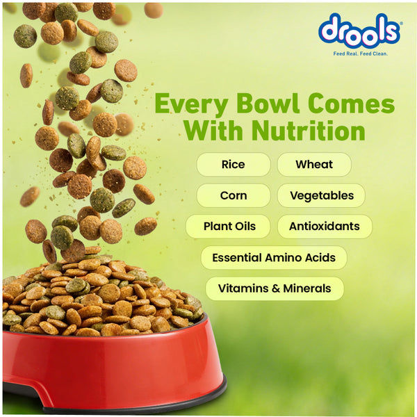 Drools 100% Vegetarian Puppy and Adult Dog Veg Dry Food (All Life Stages)