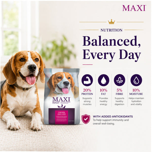 Maxi Adult Chicken and Liver Dog Dry Food