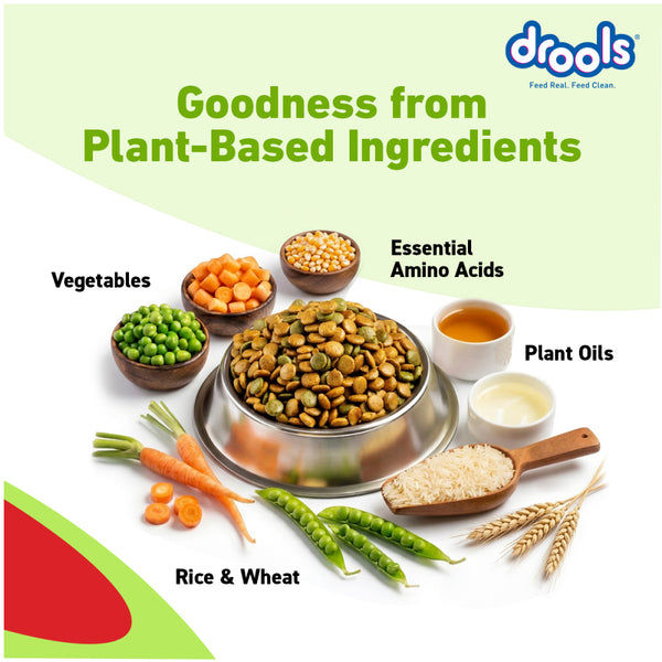 Drools 100% Vegetarian Puppy and Adult Dog Veg Dry Food (All Life Stages)