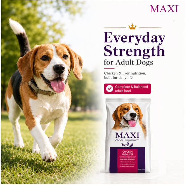 Maxi Adult Chicken and Liver Dog Dry Food
