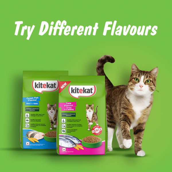 Kitekat Ocean Fish Adult Cat Dry Food