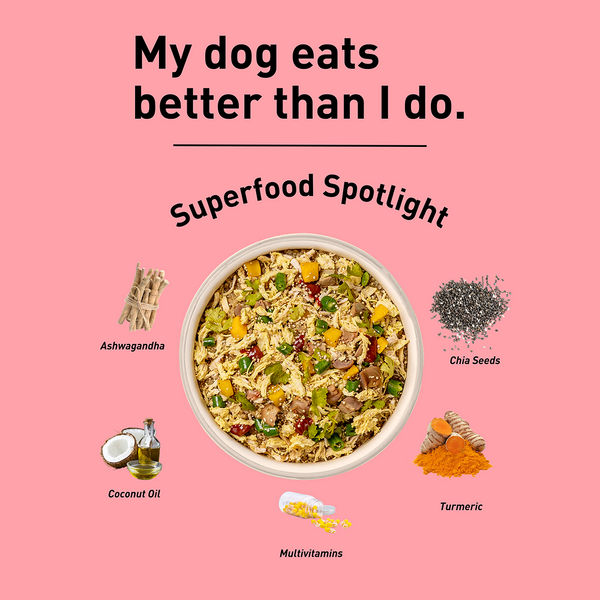 Homiee & Ginger Power Bowl Chicken Variety Pack