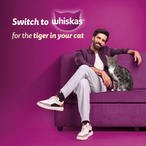 Whiskas Mackerel Flavour Adult Cat Dry Food