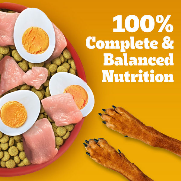 Pedigree Chicken, Egg and Rice Adult Dog Dry Food