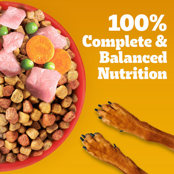 Pedigree Chicken and Vegetables Adult Dog Dry Food