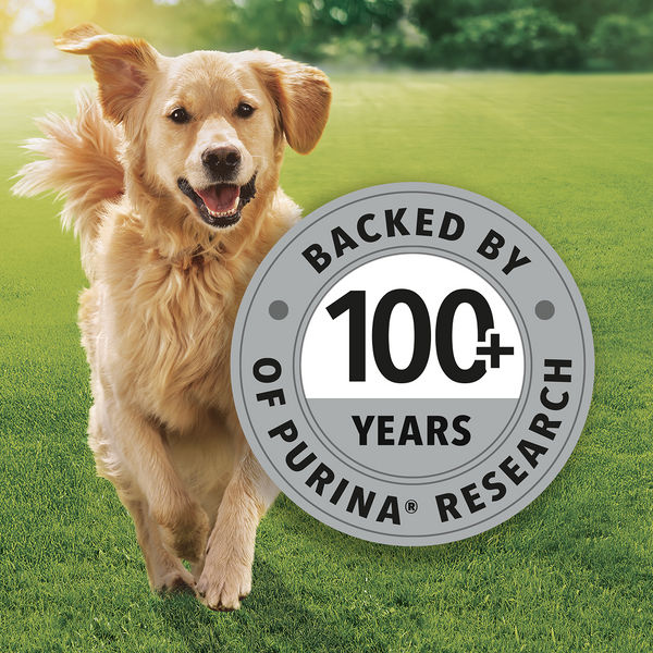 Purina Friskies Chicken Adult Dog Dry Food