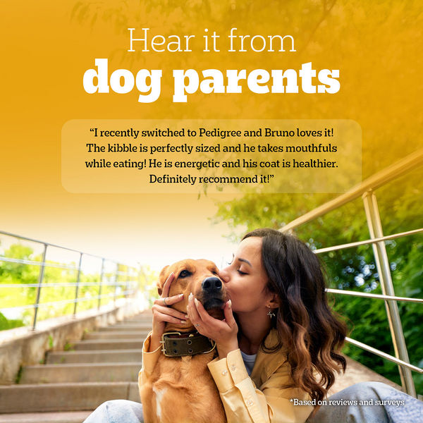 Pedigree Chicken and Vegetables Adult Dog Dry Food