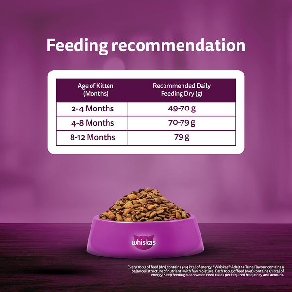 Whiskas Ocean Fish Kitten/Mother and Baby Cat Dry Food