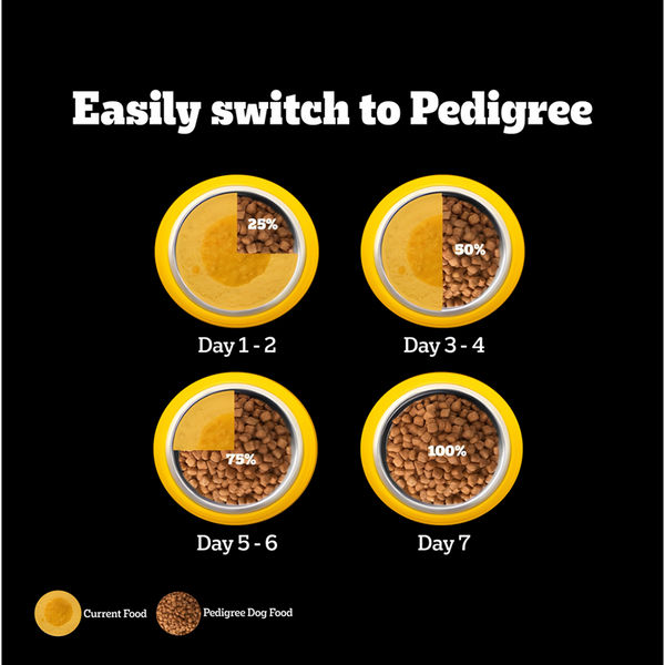 Pedigree PRO Expert Nutrition for Large Breed Puppy(3 to 18 Months) Dry Food