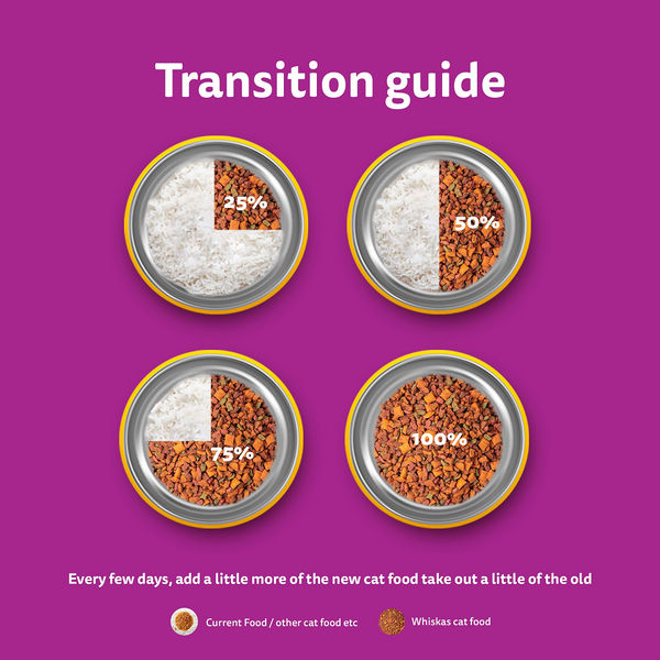 Whiskas Ocean Fish Flavour Adult Cat Dry Food