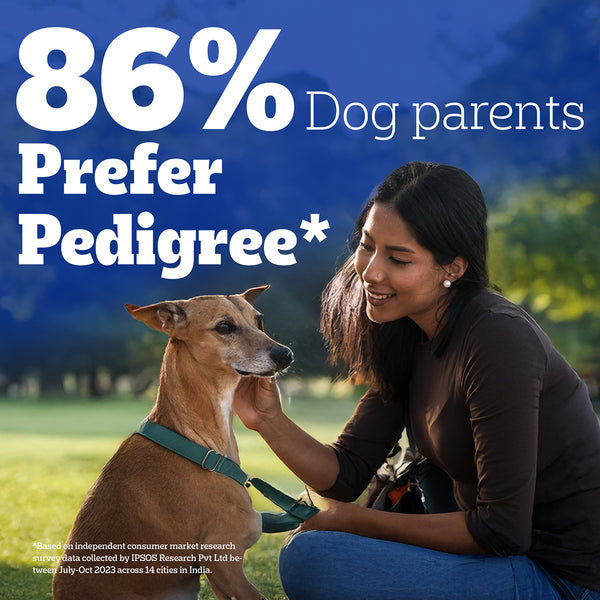 Pedigree Dentastix Oral Care for Adult (Large Breed of 25 kg+) Dog Treats