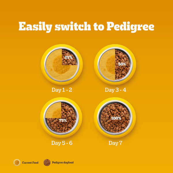 Pedigree Meat & Milk Puppy Dog Dry Food