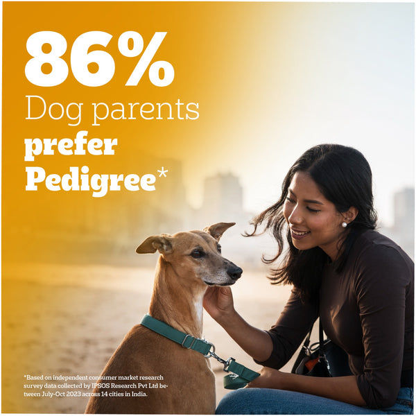 Pedigree Chicken and Liver Chunks in Gravy Adult Dog Wet Food (70g)
