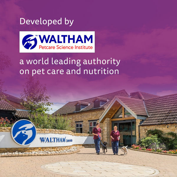 Whiskas Tuna in Jelly Kitten Cat Wet Food (80g)