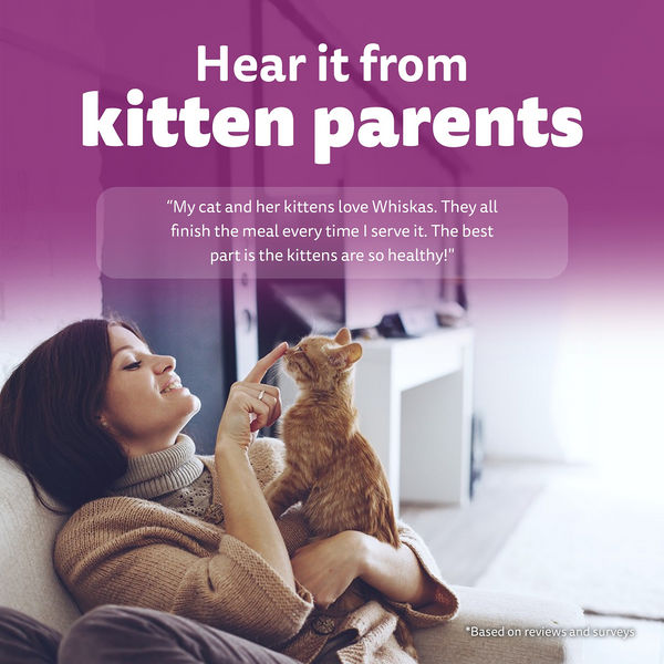 Whiskas Ocean Fish Kitten Cat Dry Food