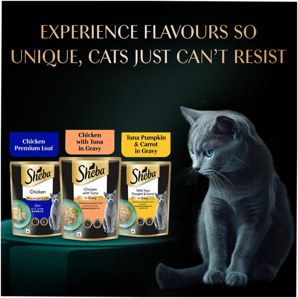 Sheba Chicken Loaf Rich Premium Kitten (2 to 12 Months) Fine Cat Wet Food