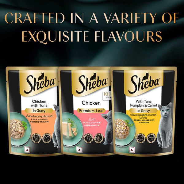 Sheba Chicken Loaf Rich Premium Kitten (2 to 12 Months) Fine Cat Wet Food