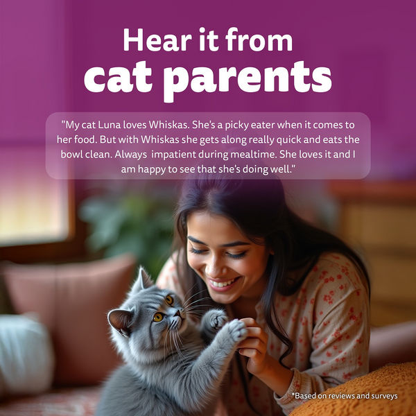 Whiskas Chicken in Gravy Adult Cat Wet Food