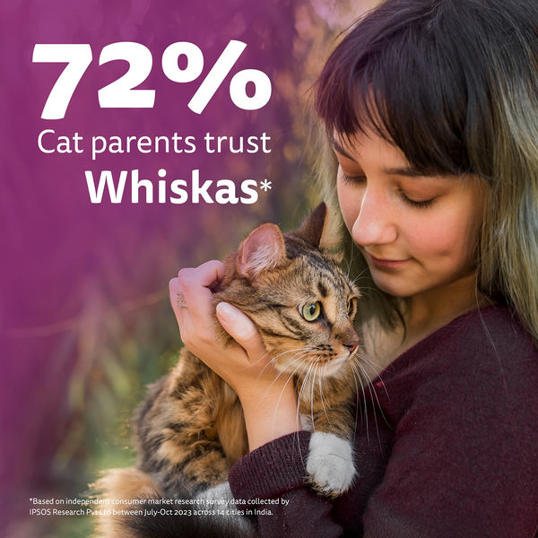 Whiskas Tuna Flavour Adult Cat Dry Food