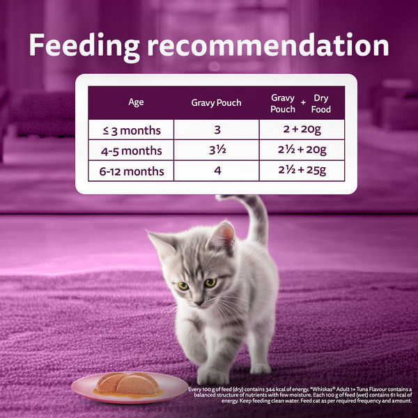 Whiskas Junior Mackerel Flavour Kitten (2-12 months) Cat Wet Food