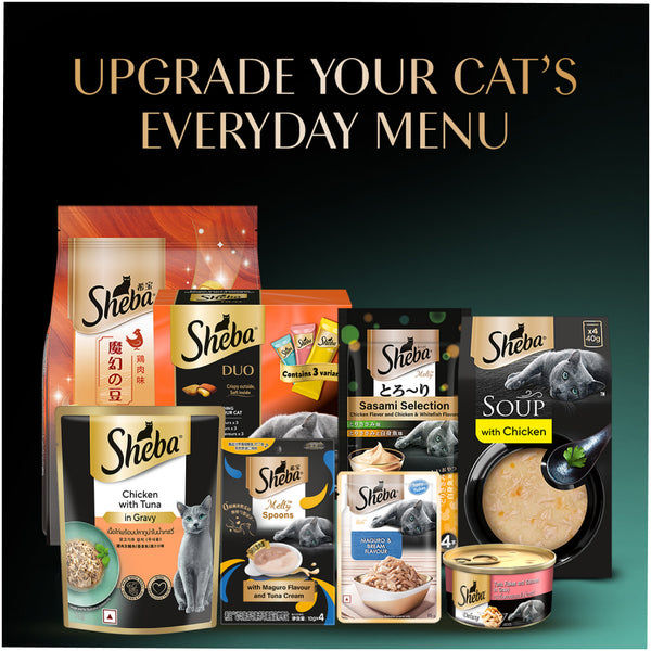 Sheba Chicken Loaf Rich Premium Adult Fine Cat Wet Food