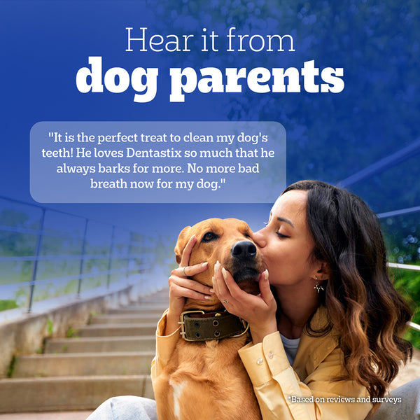 Pedigree Dentastix Oral Care for Adult (Large Breed of 25 kg+) Dog Treats