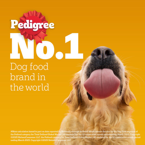 Pedigree Meat & Rice Adult Dog Dry Food