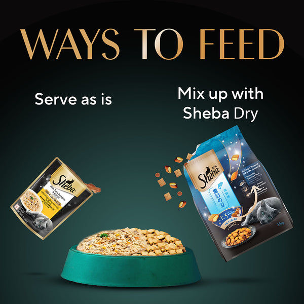 Sheba Tuna Pumpkin & Carrot In Gravy Rich Premium Adult Fine Cat Wet Food