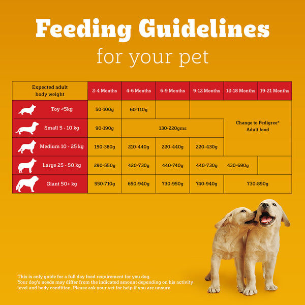 Pedigree Meat & Milk Puppy Dog Dry Food