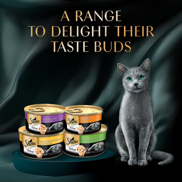 Sheba Pure Tuna Filets in Jelly Premium Cat Wet Food
