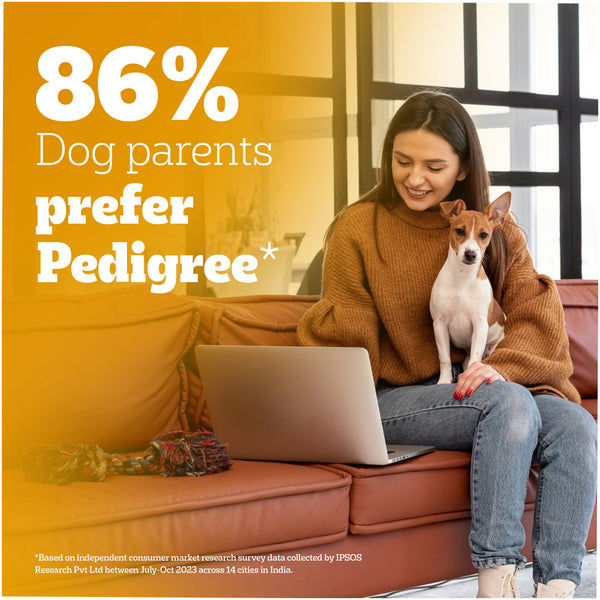 Pedigree Chicken & Liver Chunks in Gravy Puppy Wet Dog Food
