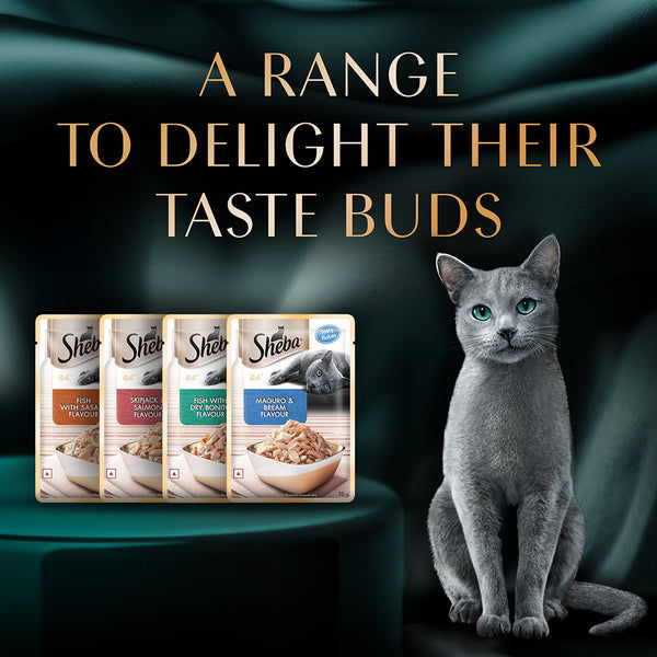 Sheba Maguro & Bream Fish Mix Premium Cat Wet Food