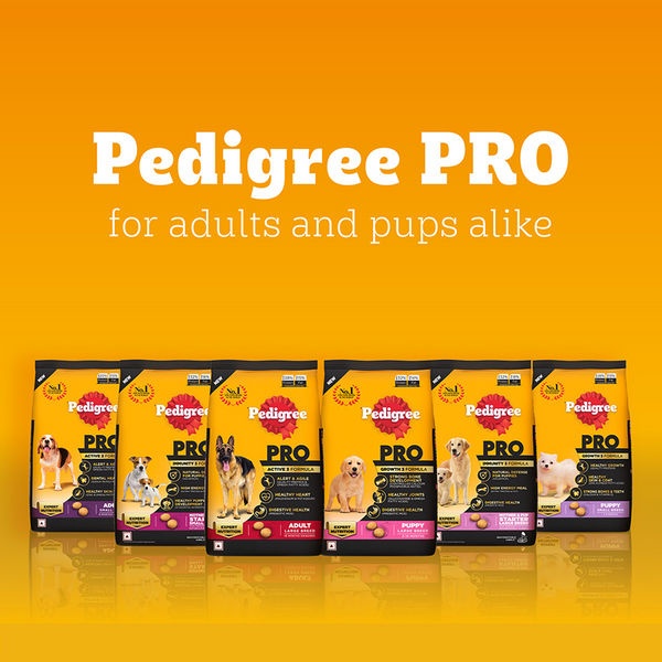Pedigree PRO Expert Nutrition for Large Breed Puppy(3 to 18 Months) Dry Food