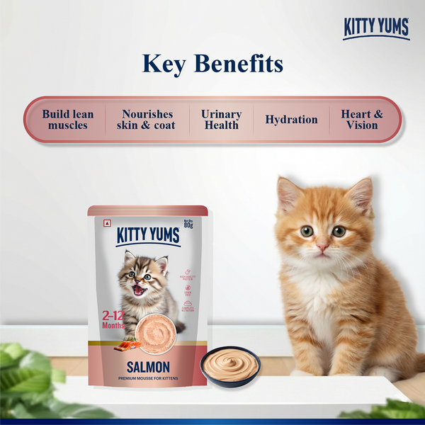 Kitty Yum Salmon Mousse Kitten Cat Wet Food