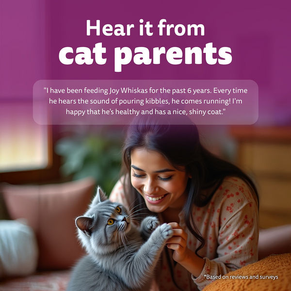 Whiskas Chicken Flavour Cat (Adult 1+) Dry Food