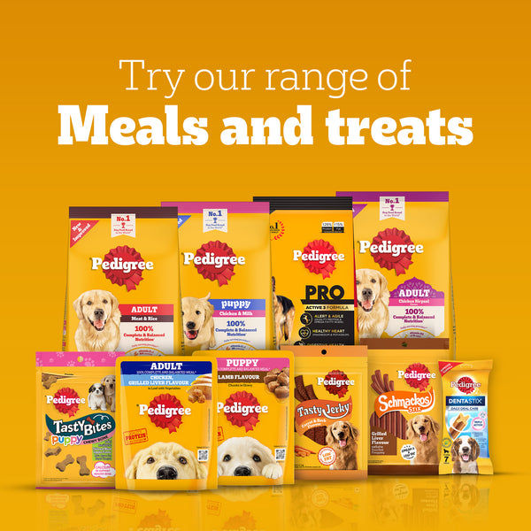 Pedigree Schmackos Stix Milk & Egg Flavour Puppy Dog Treat