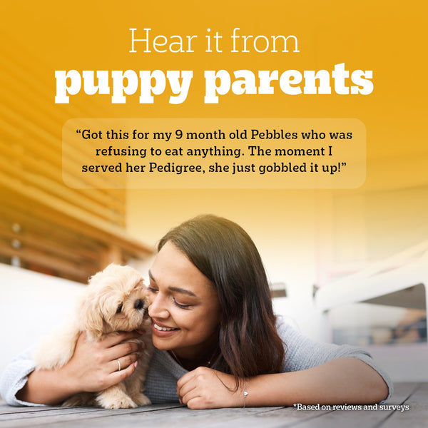 Pedigree Chicken and Liver Chunks in Gravy Pouch Puppy Dog Wet Food (130g)