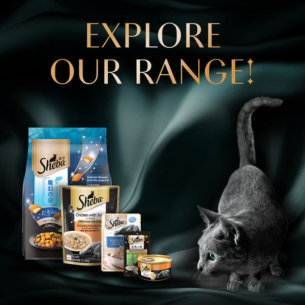 Sheba Pure Tuna Filets in Jelly Premium Cat Wet Food