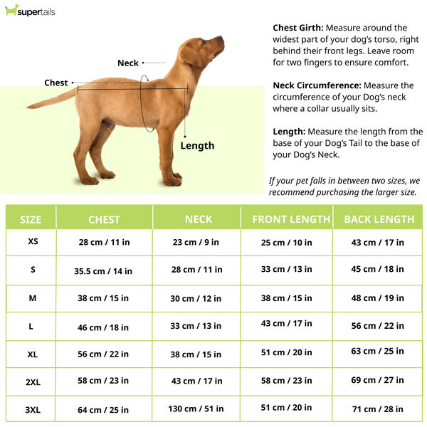 15 Furries Haldi Kurta for Dogs