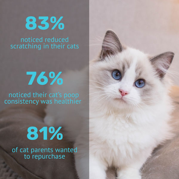 Absolut Pet Probiotics Gut Health Creamy Supplements for Cats